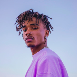 Voice cover image